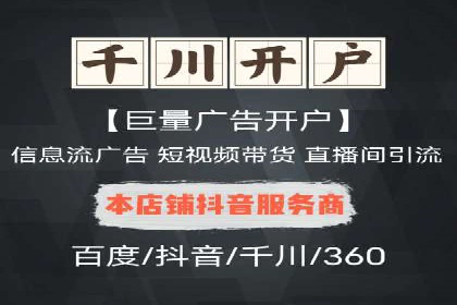 SEO与SEM优化案例：打造行业领先品牌